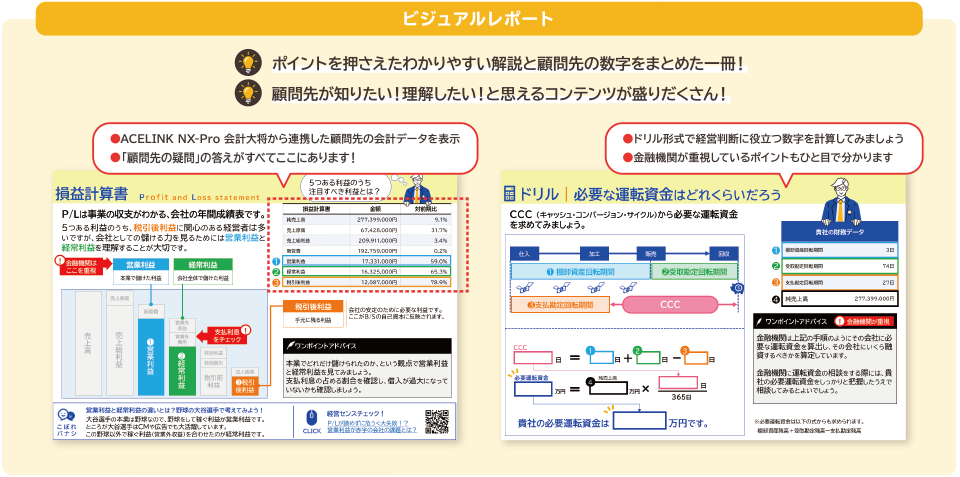 ビジュアルレポート ポイントを押さえたわかりやすい解説と顧問先の数字をまとめた一冊！ 顧問先が知りたい！理解したい！と思えるコンテンツが盛りだくさん！